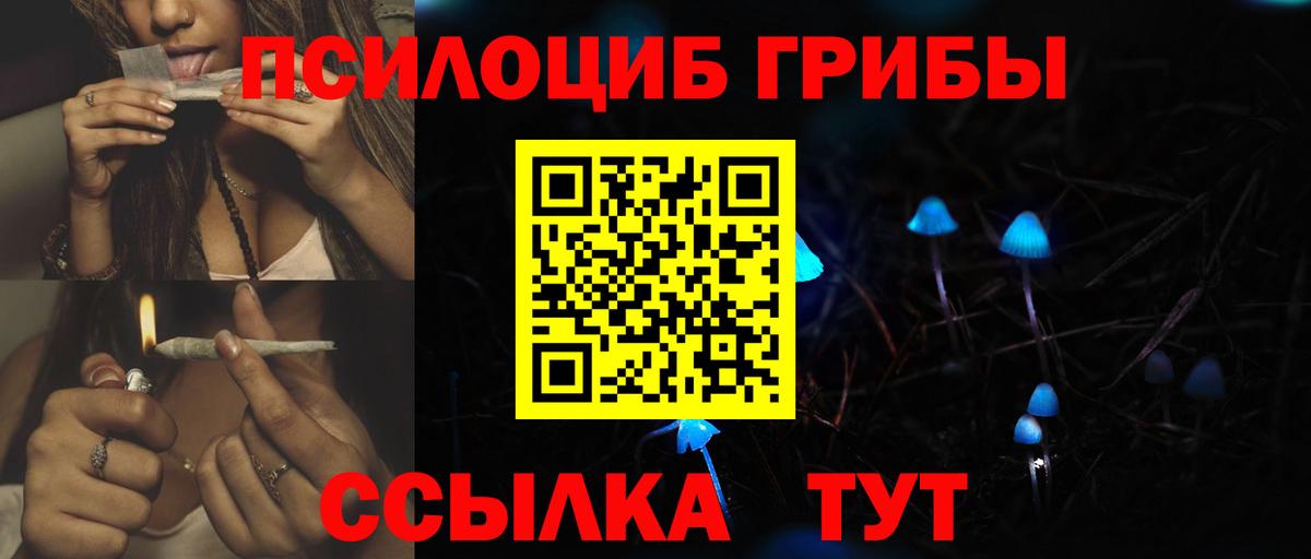 Ишим  Псилоцибиновые грибы Magic Shrooms  Вход с VPN  Псилоцибиновые грибы MAGIC MUSHROOMS 