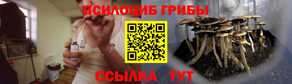 Галлюциногенные грибы GOLDEN TEACHER Ишим